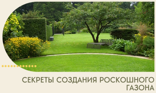 Секреты создания роскошного газона в Устях-Илимске
